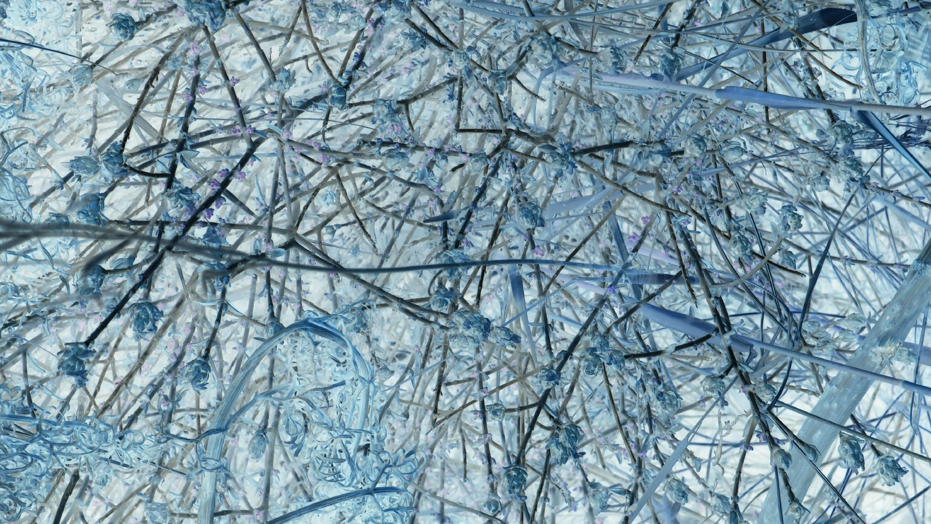 2021-09-08 01 auf der Klippe (Krios Beach) (Foto, Fieldrecording, Video)